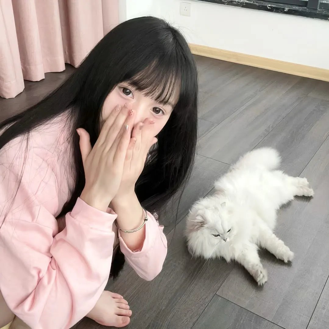 愤怒的小鸟：夏日疯狂第二季